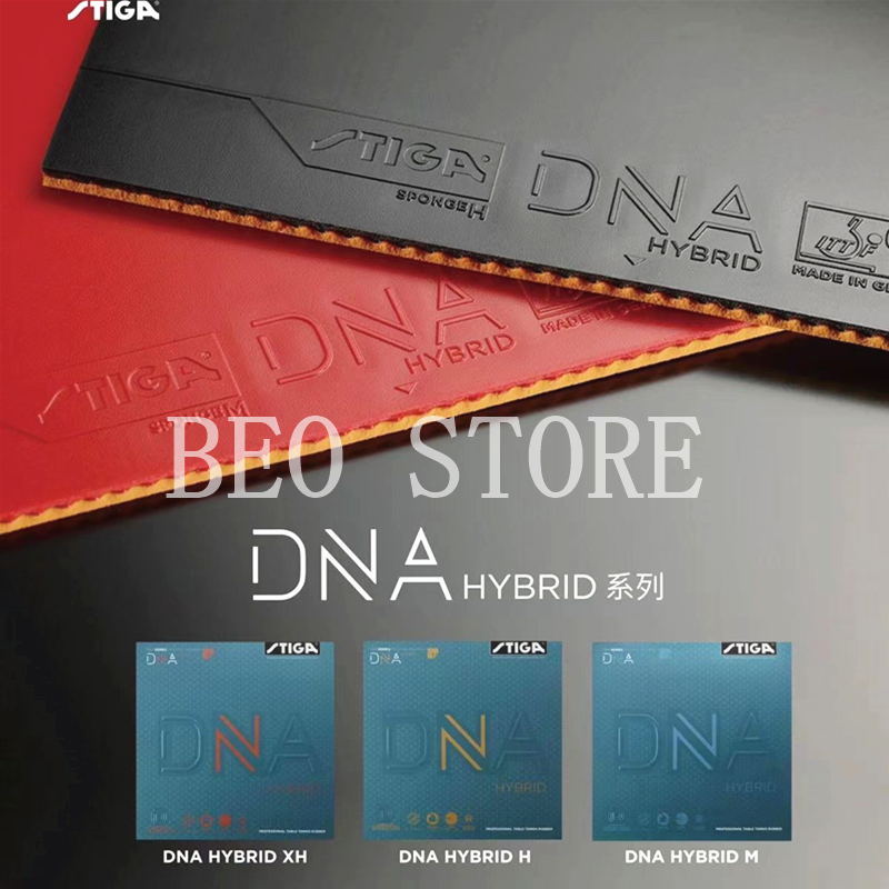 Table Tennis Hybrid Rubbers - Stega DNA HYBRID Ping Ping Pong