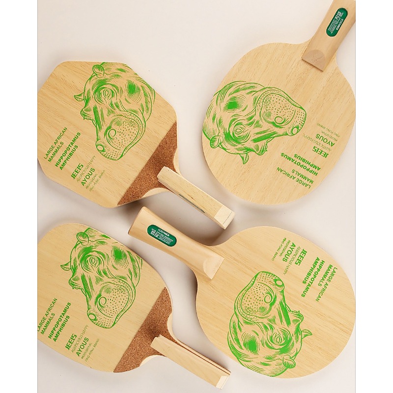 Racchetta da Ping Pong Profess - Table Tennis Blade recensione e prezzo