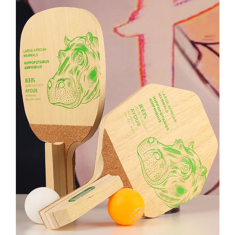 Racchetta da Ping Pong Profess - Table Tennis Blade recensione e prezzo