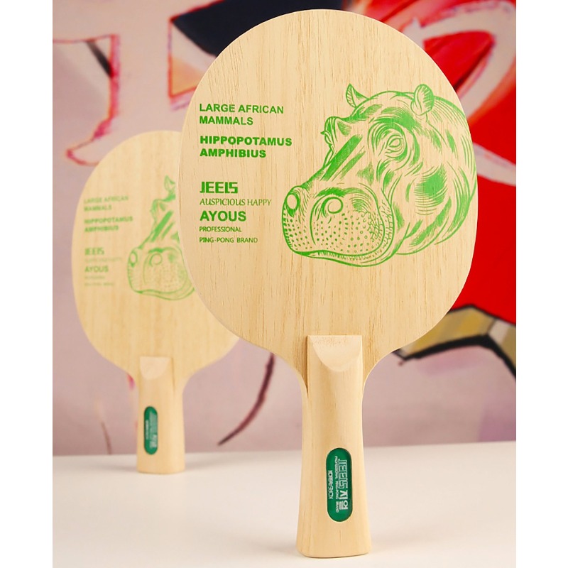 Racchetta da Ping Pong Profess - Table Tennis Blade recensione e prezzo