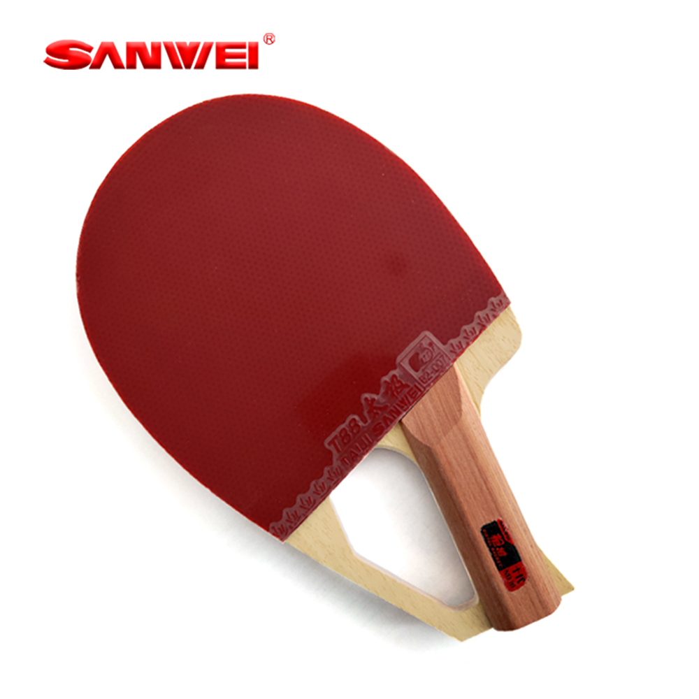 Racchetta da Ping Pong Profess - Table Tennis Blade recensione e prezzo