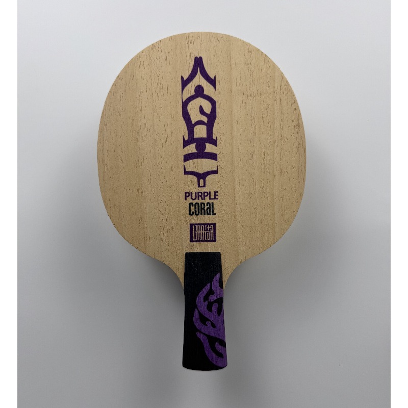 Racchetta da Ping Pong Meteor  - Table Tennis Blade recensione e prezzo