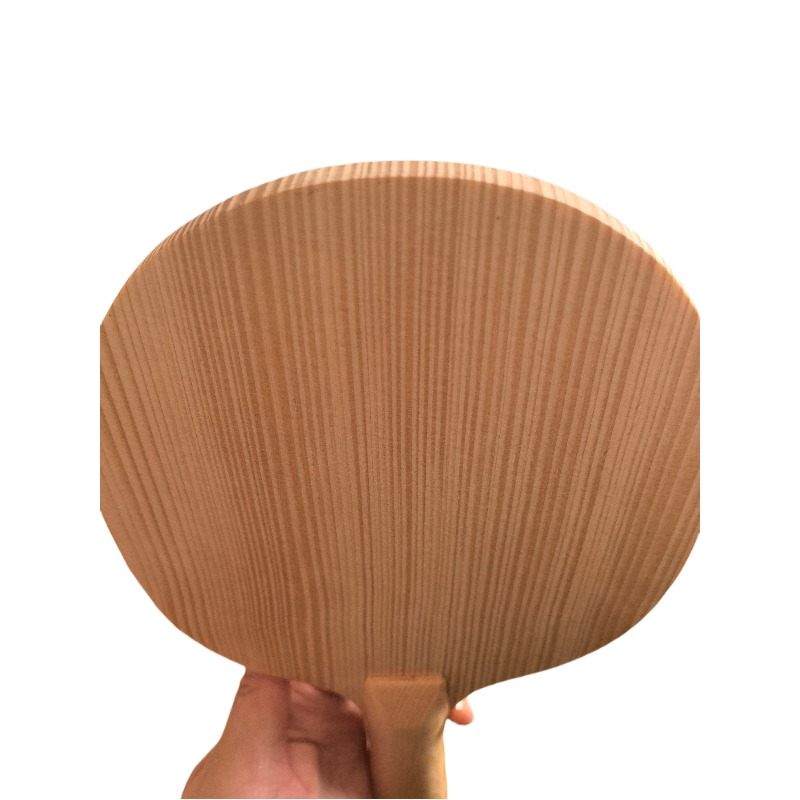 Lama da Ping Pong Professional - Table Tennis Blade recensione e prezzo