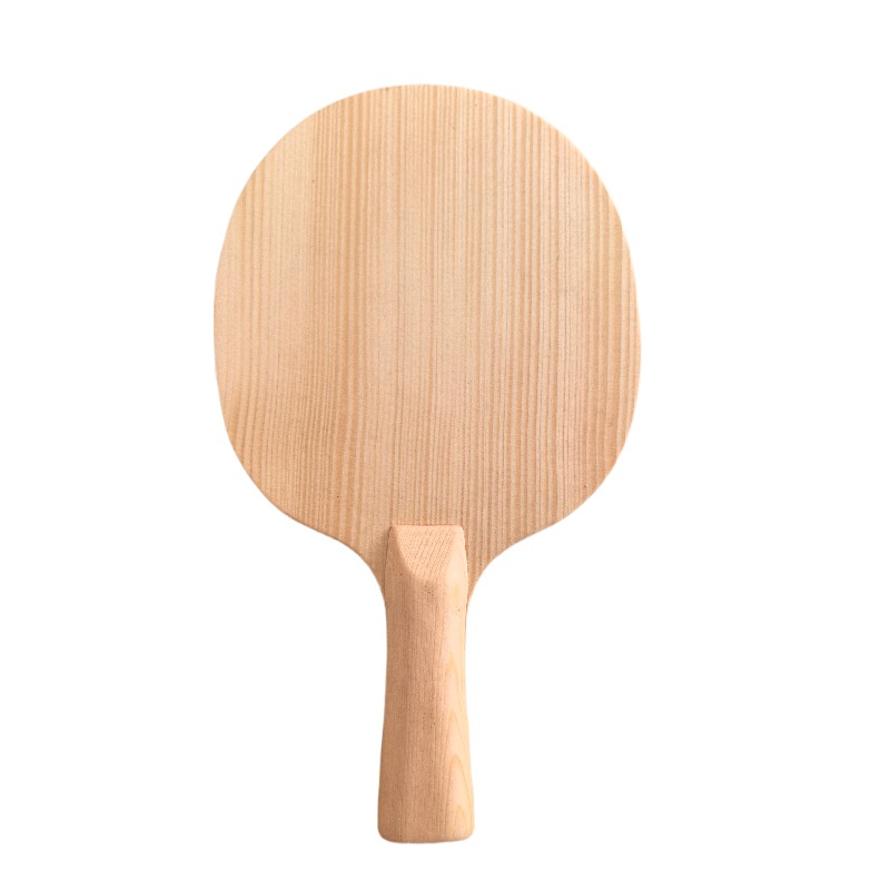 Lama da Ping Pong Professional - Table Tennis Blade recensione e prezzo