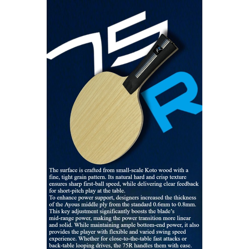 SANWEI 75R 5+2 Outer H-GLC Tel - Table Tennis Blade recensione e prezzo